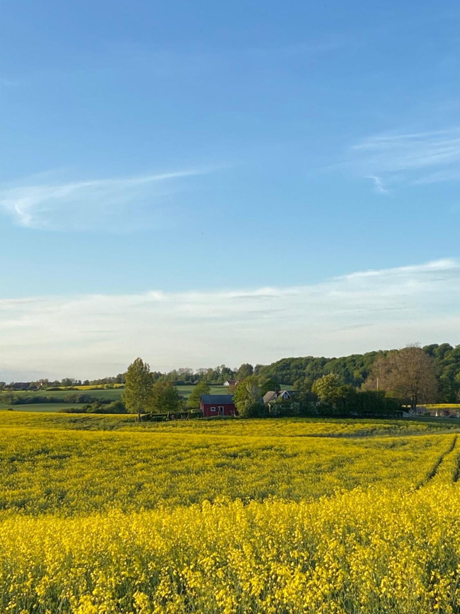 Blomstertantens Hus เทรลเลบอร์ก ภายนอก รูปภาพ