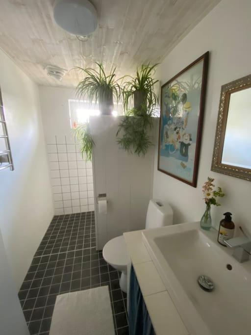 Blomstertantens Hus เทรลเลบอร์ก ภายนอก รูปภาพ